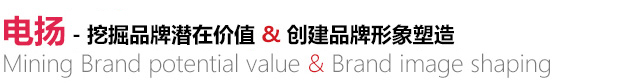 天津電揚數碼科技有限公司